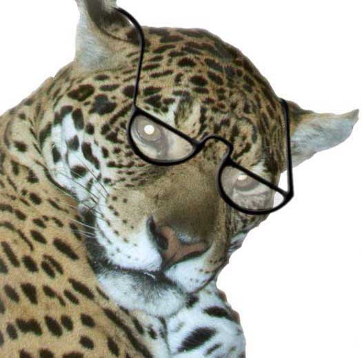 Tier mit Brille